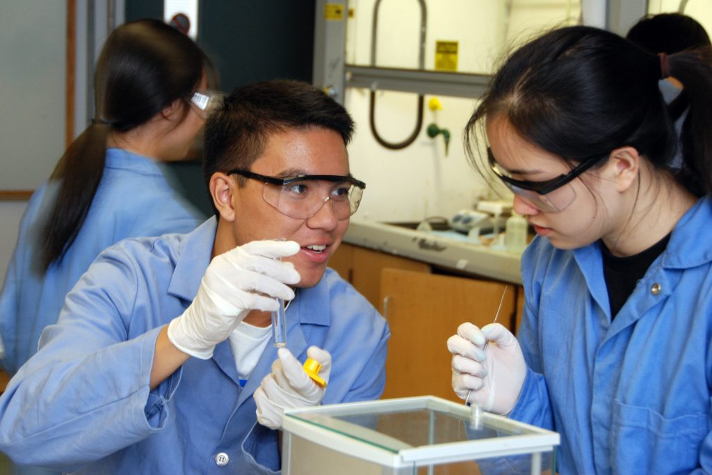 2022 Summer Undergraduate Research Fellowships