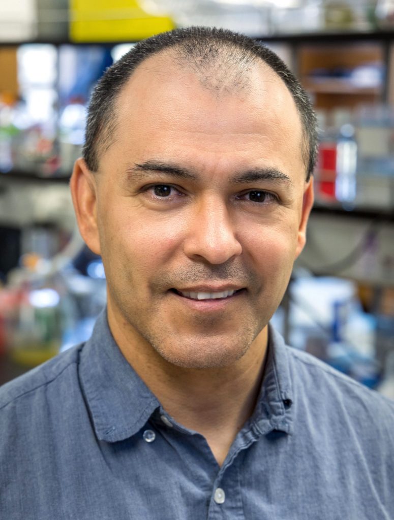 NIH Funds the Cell and Molecular Biology Training Program