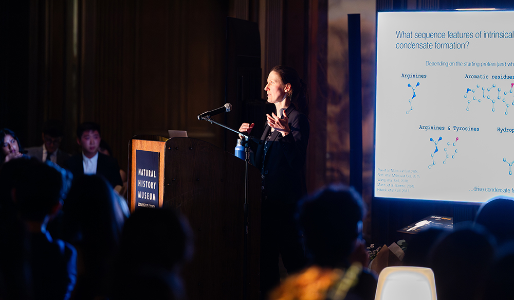Prof. Kalli Kappel giving her Seaborg talk 2026